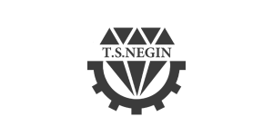 NeginCo