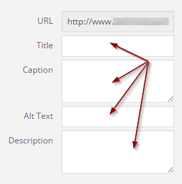 image-optimization